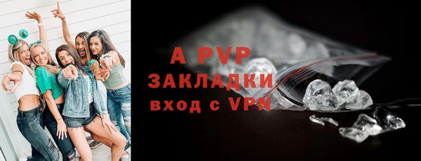 круглые Белокуриха