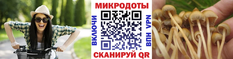 Галлюциногенные грибы мицелий  где продают наркотики  Зарайск 